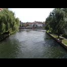 Zusammenfluss der beiden Ill-Arme (von vorn der nördliche und von rechts der südliche Arm)